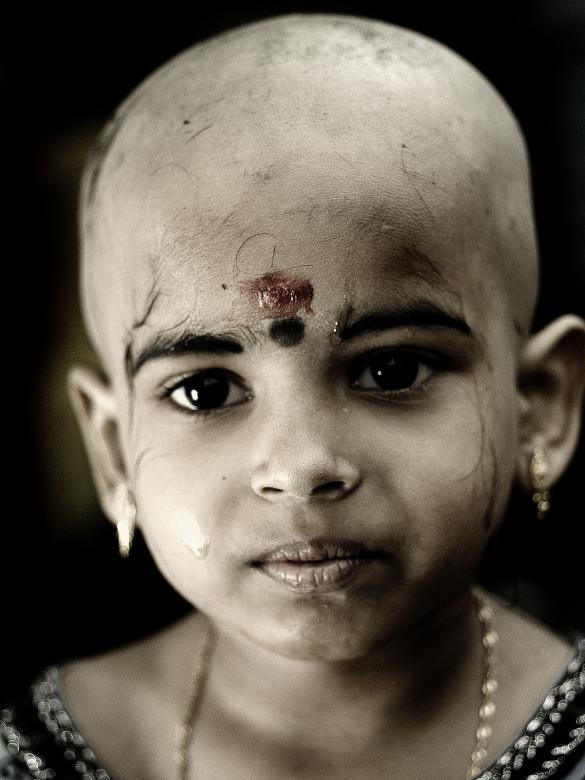 Free stock image of Priya created by pekthong
