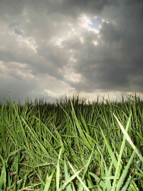 Free stock image of Storm created by ivailo vaskov kudinov