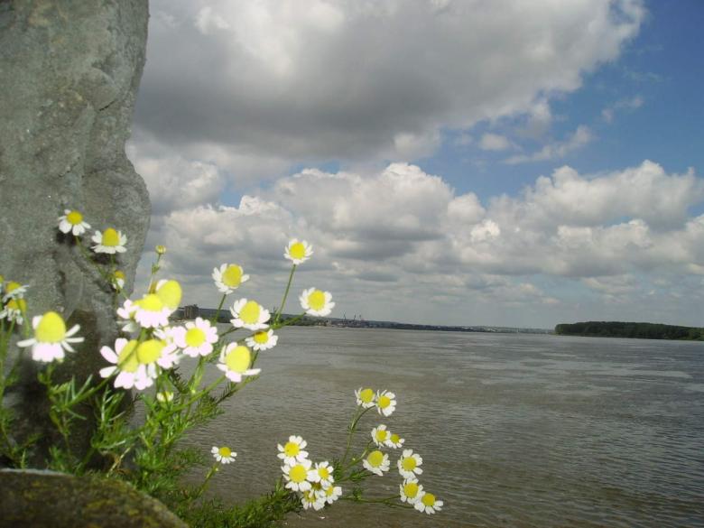 Free stock image of Under Sky, over river created by ivailo vaskov kudinov