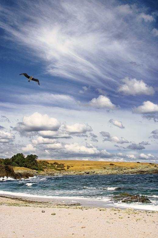 Free stock image of The endless summer... created by victor stoyanov