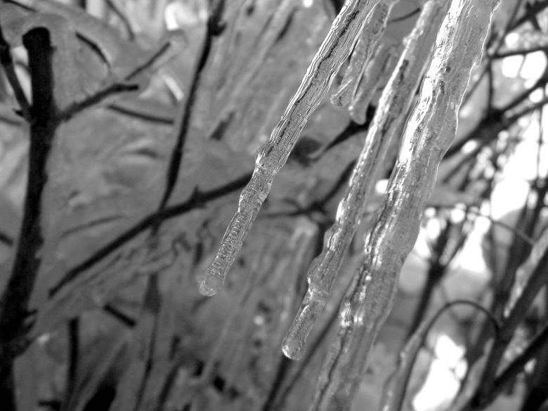 Free stock image of Icicles II created by kelly skoty