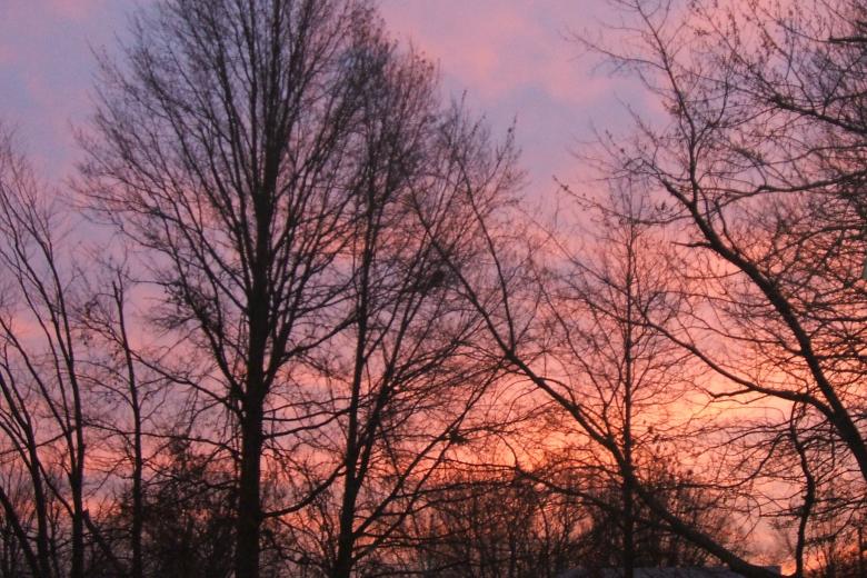 Free stock image of Winter Sunrise created by carla gerber