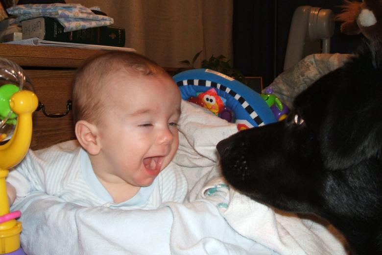 Free stock image of Best Friends created by carla gerber