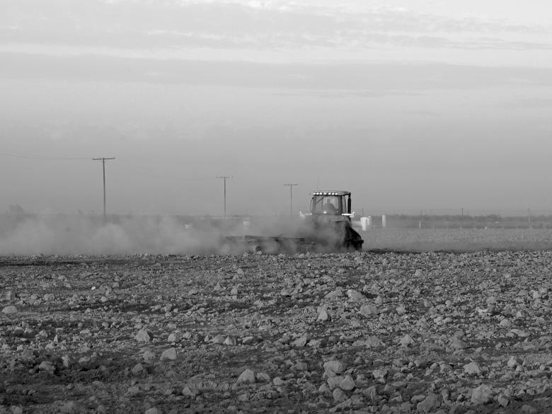 Free stock image of Hard at Work at 7 AM created by j. l. johnson