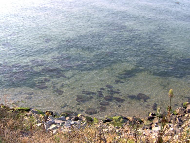 Free stock image of Sea created by radina grancharova