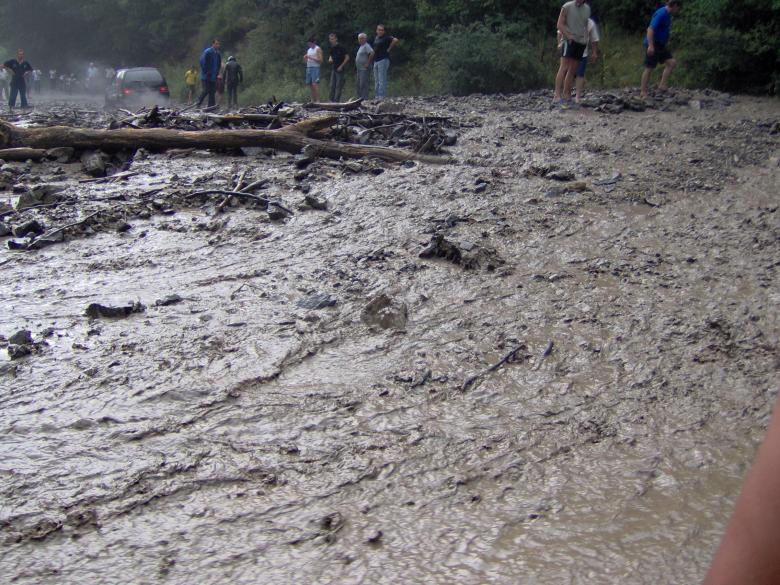 Free stock image of Disasters durong the summer created by radina grancharova