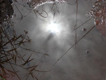Reflection - Free Stock Photo