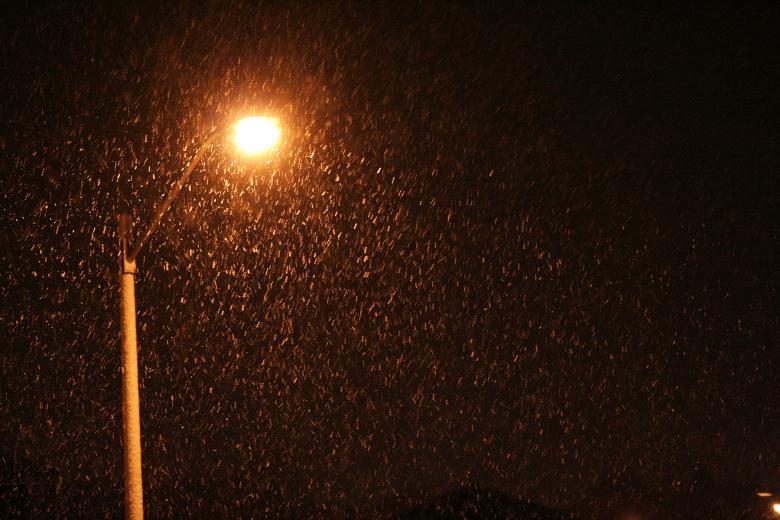 Free stock image of Snow Sparks II created by trevor henry