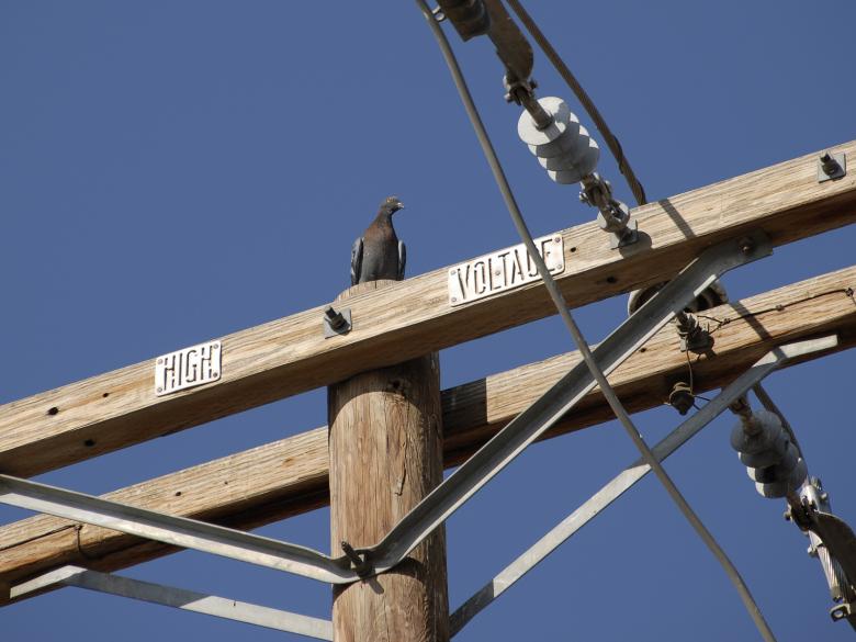 Free stock image of High Voltage created by j. l. johnson
