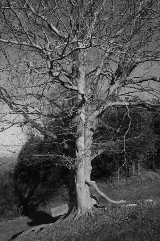 Free stock image of Shallow grave created by adam pakstas