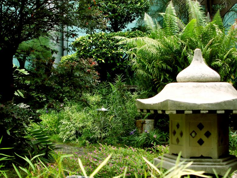 Free stock image of Garden created by denny riyanto