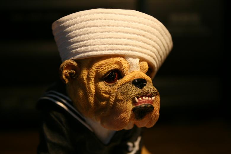 Free stock image of Hey sailor created by adam pakstas