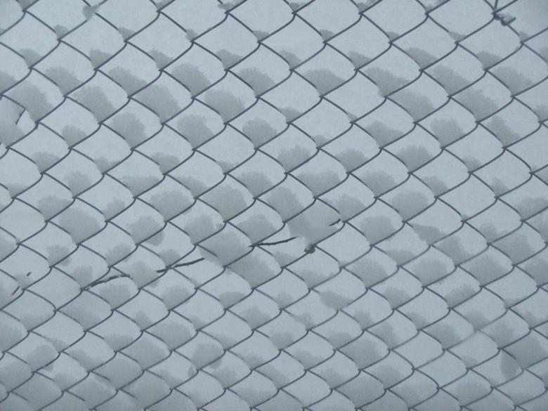 Free stock image of Snow on wire fence created by Heather Elaine Kitchen