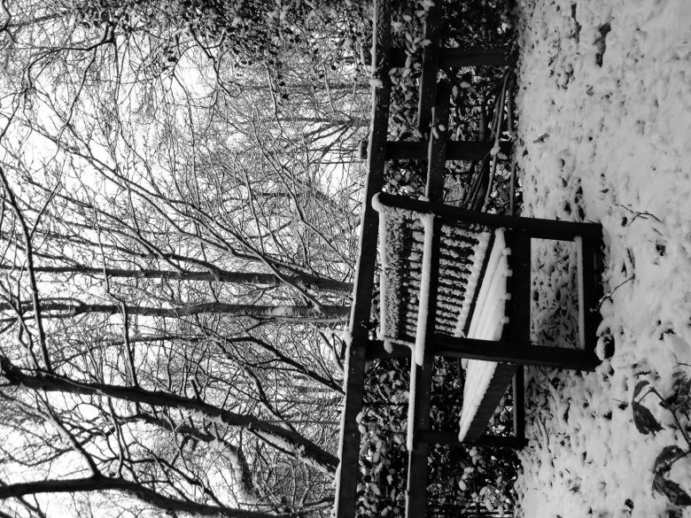 Free stock image of Snow created by elli garnett
