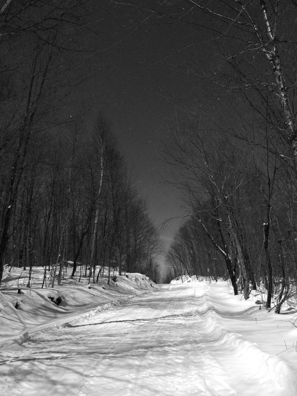 Free stock image of Winter Night created by brigitte charbonneau