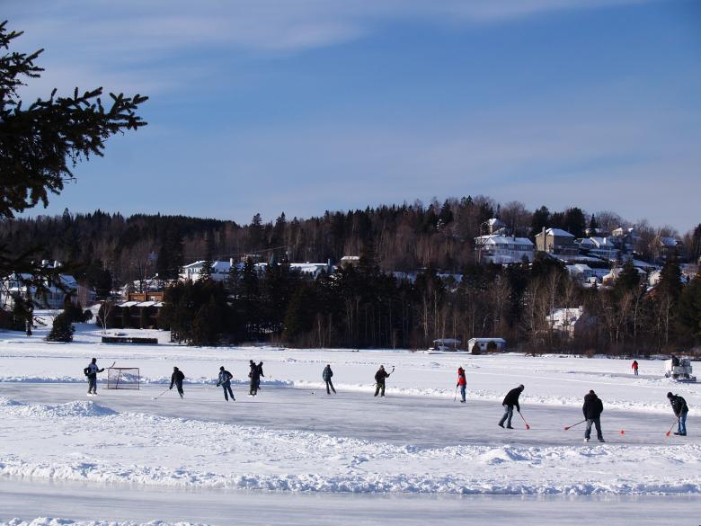 Free stock image of The Hockey Game created by brigitte charbonneau