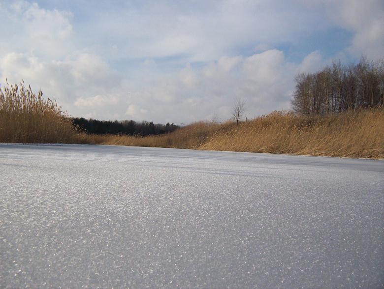 Free stock image of On the ice created by anthony essmaker