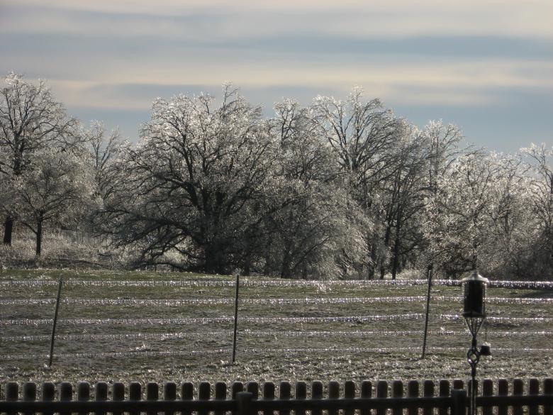 Free stock image of Winter created by kaelin collard