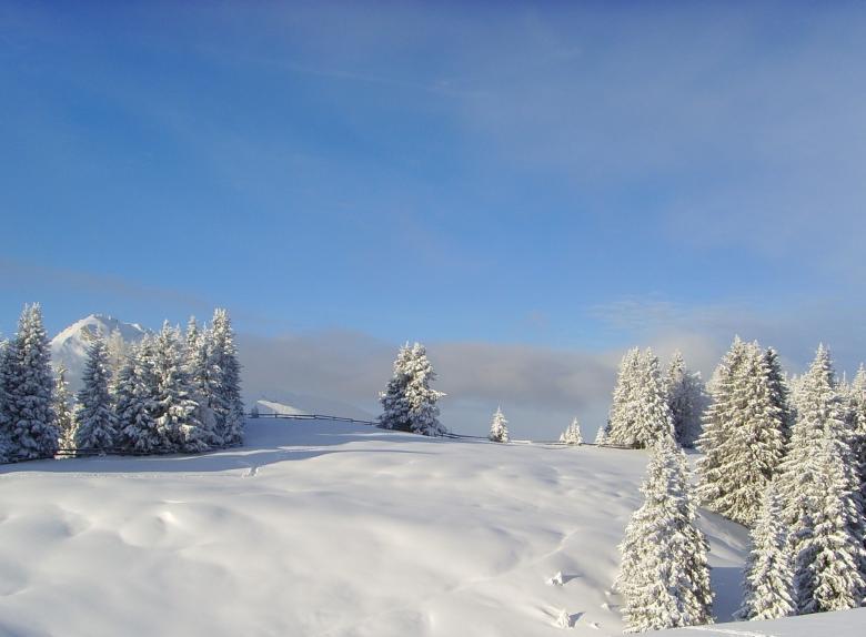 Free stock image of Winter landscape of Brambrueesch created by max