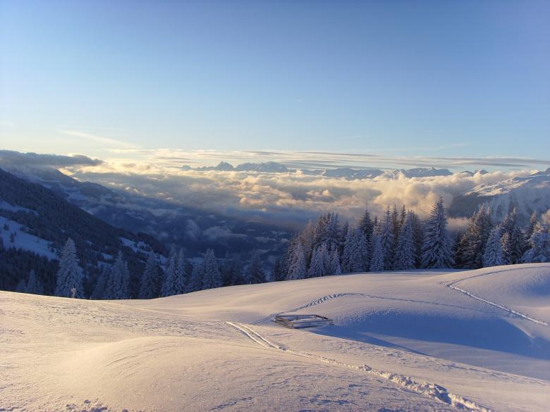 Free stock image of Sunset Brambrueesch created by max