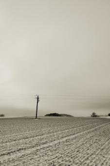Sepia Winter