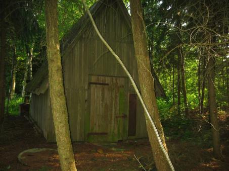 Shed in the woods - Free Stock Photo