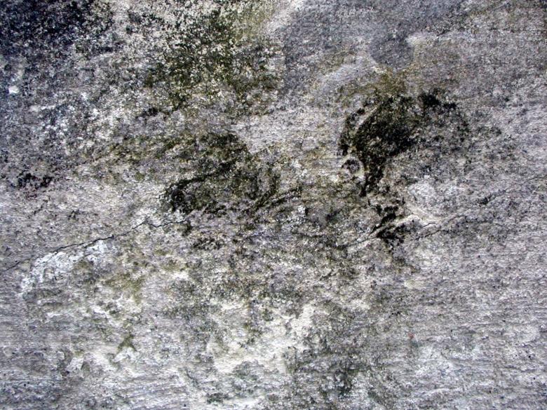 Free stock image of Dirty wall texture created by Bjorgvin