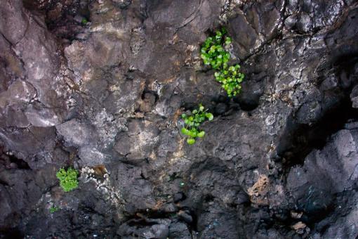 Free Stock Photo of Stone surface
