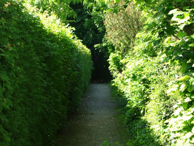 Free stock image of Garden Path created by ozonegfx