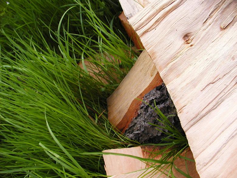Free stock image of Wood in grass created by sn4tch