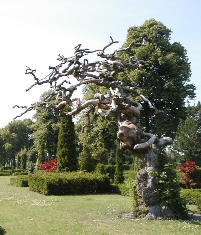 Free stock image of Abstract tree created by Bjorgvin