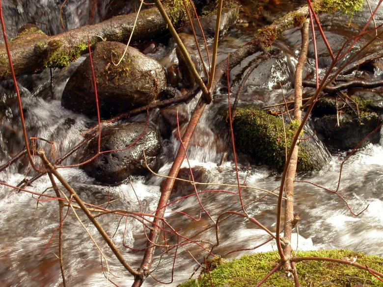 Free stock image of Water Stream, boulders and Branches created by collin votrobeck