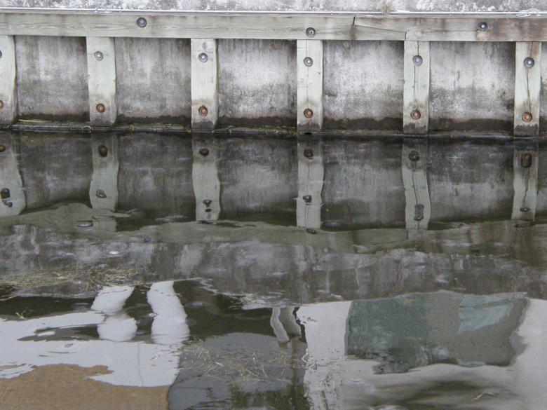 Free stock image of Reflecting waterside created by Bjorgvin