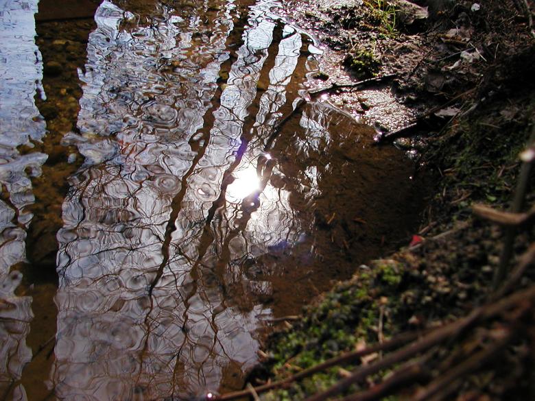 Free stock image of Reflecting water created by sn4tch