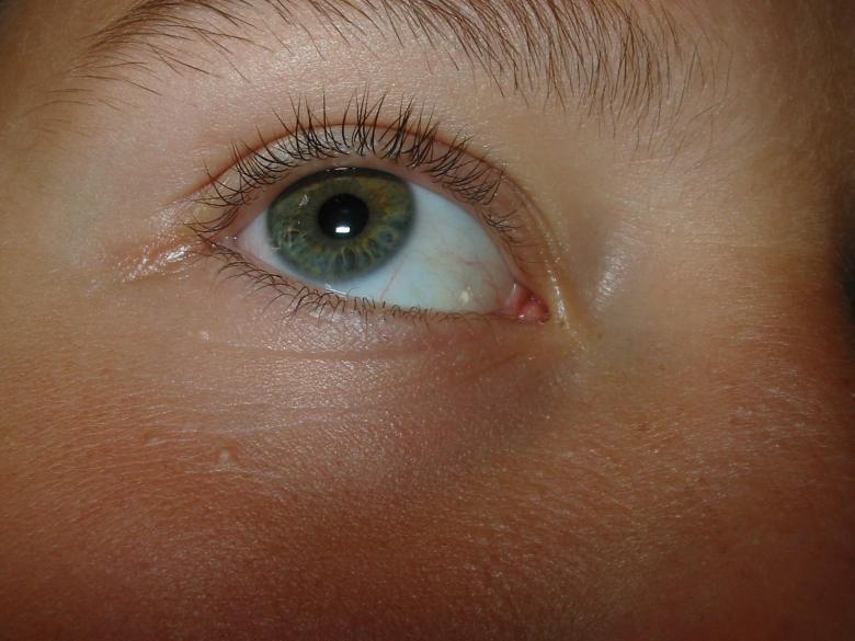 Free stock image of Eye created by prime