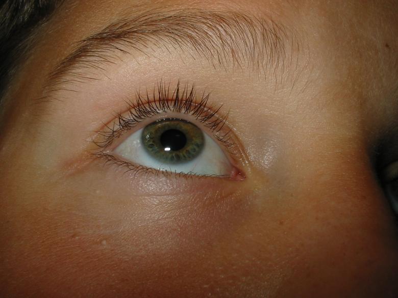 Free stock image of Eye created by prime