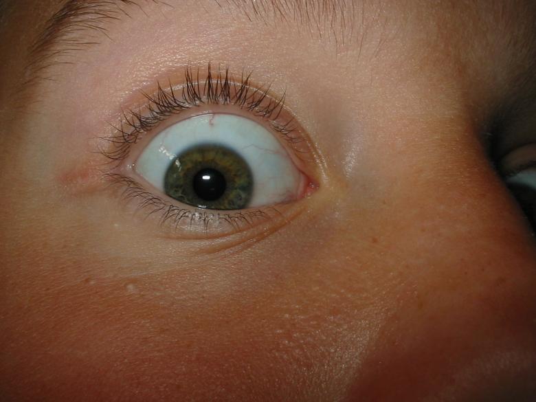 Free stock image of Staring eye created by prime