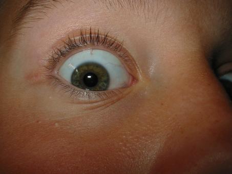 Staring eye - Free Stock Photo