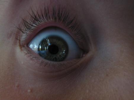 Eye - Free Stock Photo