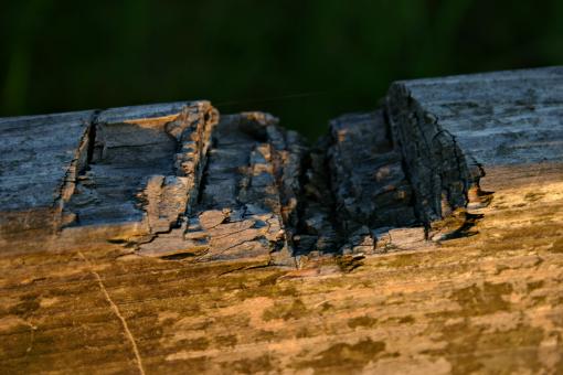 Free Stock Photo of Wooden texture