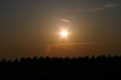 Free Stock Photo of Sunny day