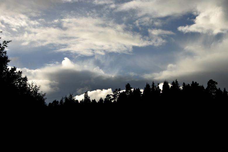 Free stock image of Trees against a cloudy sky created by Bjorgvin