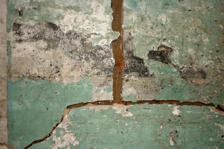 Free stock image of Green cracked texture created by Bjorgvin
