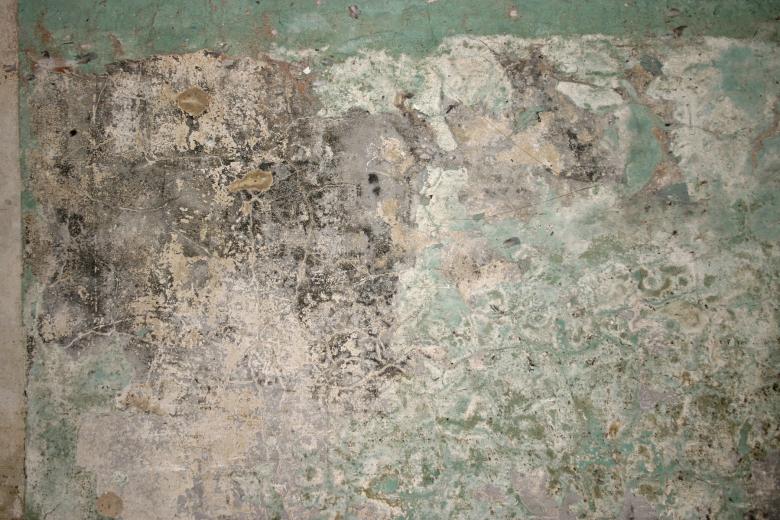 Free stock image of Worn grunge wall created by Bjorgvin