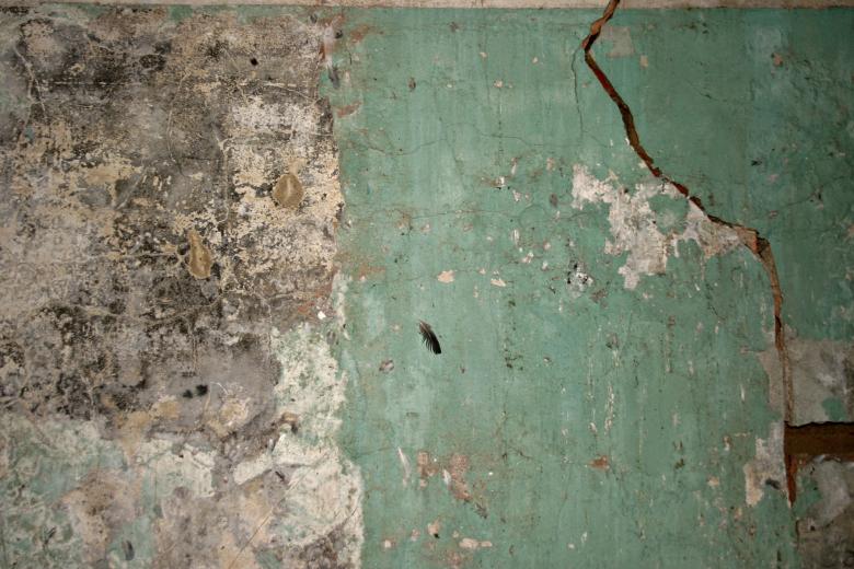 Free stock image of Cracked green concrete created by Bjorgvin