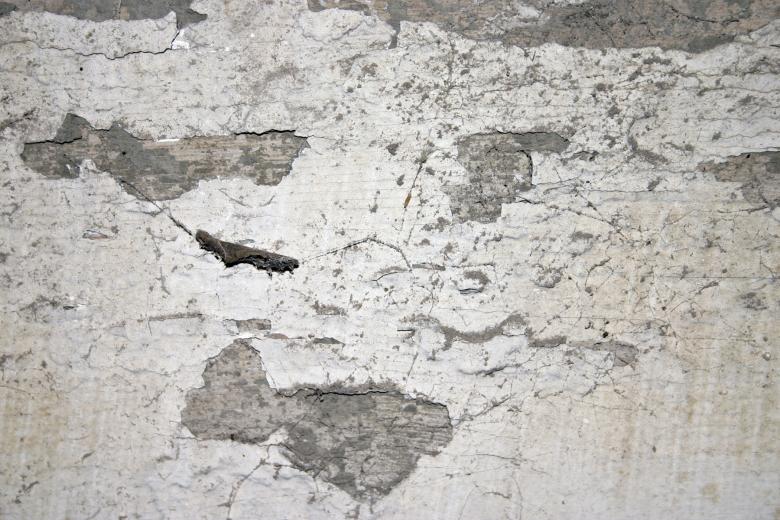 Free stock image of Concrete wall texture created by Bjorgvin