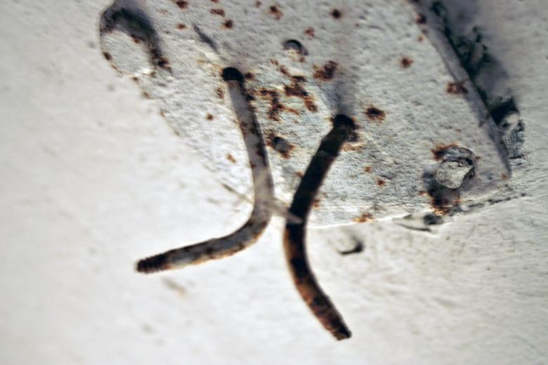 Free stock image of Rusted hooks created by Bjorgvin