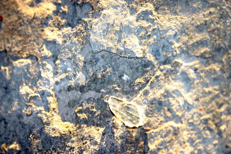 Free stock image of Stone surface created by Bjorgvin