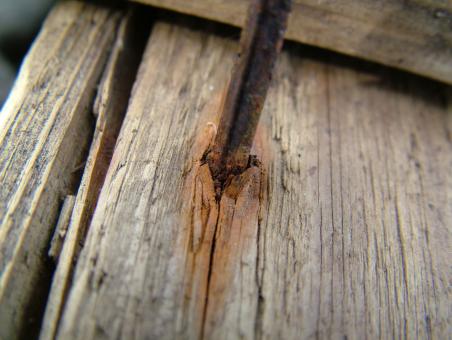 Wood texture - Free Stock Photo