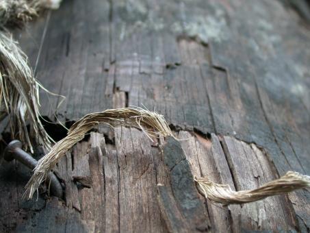 Free Stock Photo of Wood texture